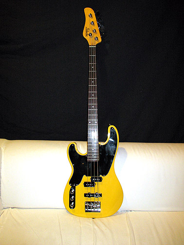 Schecter Model T.jpg