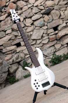 Jozef_Gaus_F_Bass.jpg