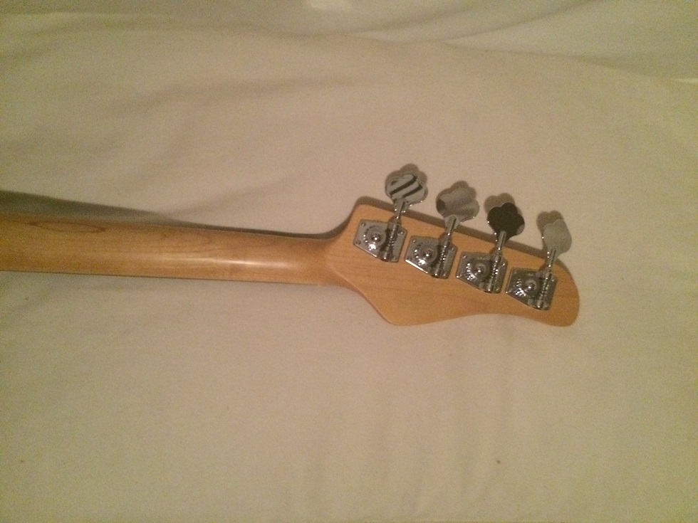 schecter 010.JPG