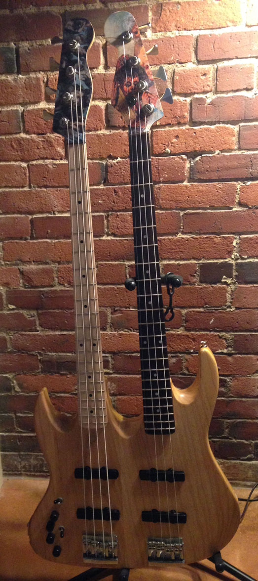 Doubleneck bass LR.jpg