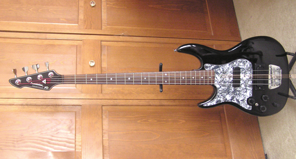 Peavey Foundation active custom...jpg